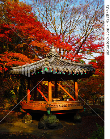 Momijidani Park (Yamaguchi Prefecture: Iwakuni) Momijidani Park (Yamaguchi Prefecture: Iwakuni) 45897435