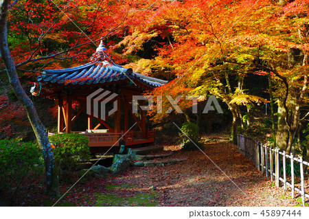 Momijidani Park (Yamaguchi Prefecture: Iwakuni) Momijidani Park (Yamaguchi Prefecture: Iwakuni) 45897444
