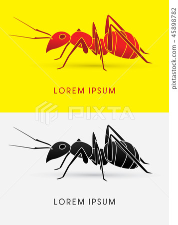 Ant walking graphic vector Ant walking graphic vector 45898782
