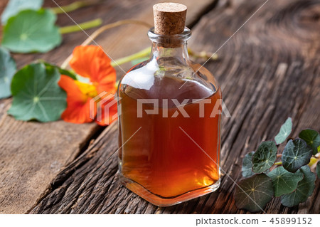 Nasturtium tincture with fresh Tropaeolum majus Nasturtium tincture with fresh Tropaeolum majus 45899152
