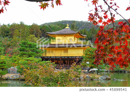 Kyoto Autumn leaves 45899541