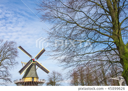 Dutch windmill and leafless trees Dutch windmill and leafless trees 45899626