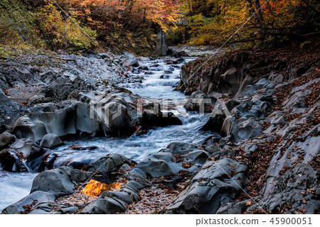 Autumn leaves in the Nakatsugawa valley 45900051