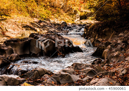 Autumn leaves in the Nakatsugawa valley 45900061