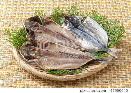 Hiragana asiatica Hiragana asiatica 45900640