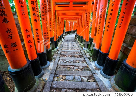 Senbon Torii at Fushimi Inari Shrine. 45900709