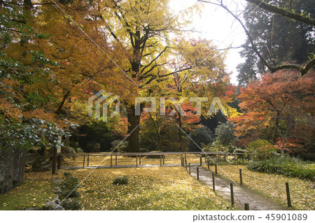 Miyama City Kiyomizu Temple Autumn leaves Miyama City Kiyomizu Temple Autumn leaves 45901089