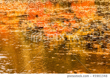 Autumn leaves of Ura Bandai 45901348