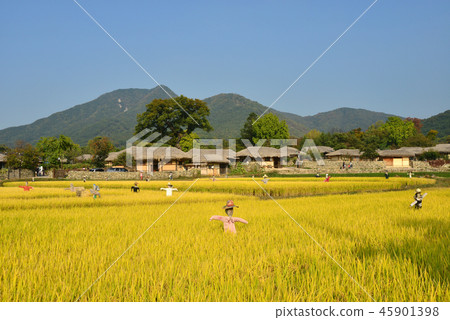 鄉村景觀 鄉村景觀 45901398