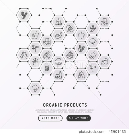Organic products concept in honeycombs 45901483