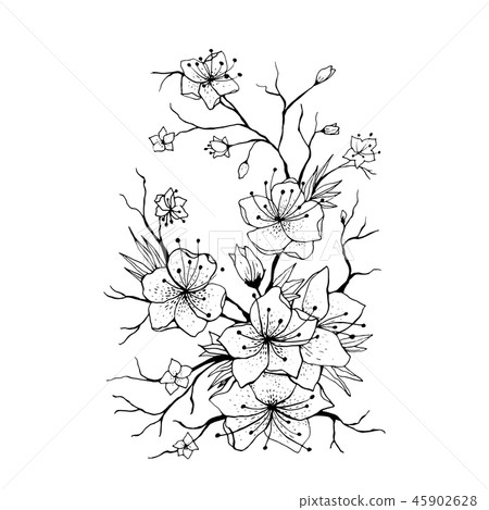 Sakura branch hand drawn illustration 45902628