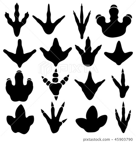 Dinosaur claw footprint silhouettes vector set Dinosaur claw footprint silhouettes vector set 45903790
