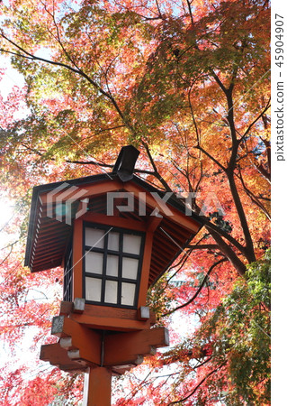 Shin Kurayama Asama Park of colored leaves 45904907
