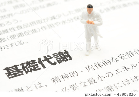 基本代謝形象 基本代謝形象 45905820