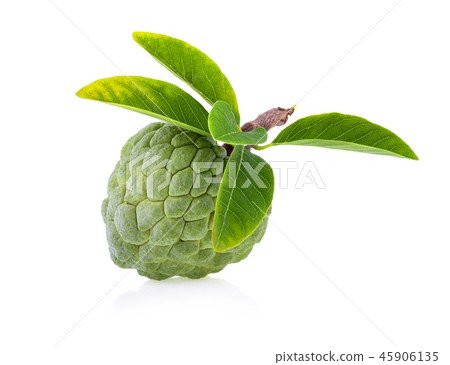custard apple on white background 45906135