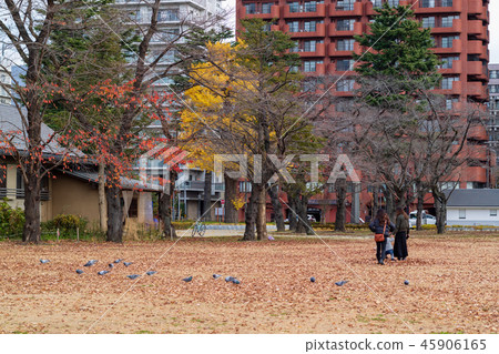 Sendai West Park in the late fall Sendai West Park in the late fall 45906165