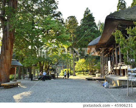 Samukawae市Jion寺廟地面 Samukawae市Jion寺廟地面 45906231