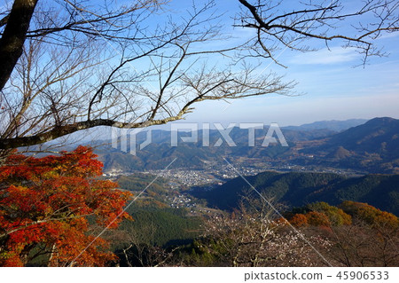 Autumn leaves of Sakurayama Park Autumn leaves of Sakurayama Park 45906533