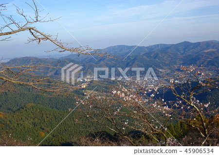 Autumn leaves of Sakurayama Park Autumn leaves of Sakurayama Park 45906534