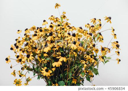 Beautiful bundle of small yellow flowers Beautiful bundle of small yellow flowers 45906834