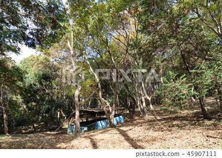 Yawazuka Remains (the ruins of the Nara period) Ibaraki Prefecture Ishihara city department Hara 45907111