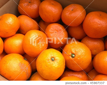 Shipment of premature oranges Shipment of premature oranges 45907337
