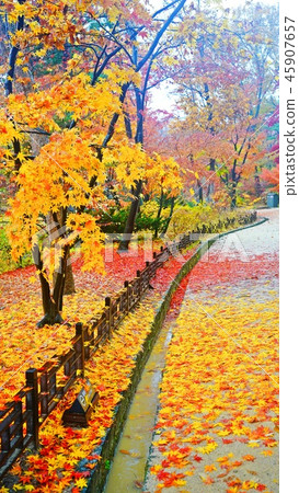 Fall of the rain Fall of the rain 45907657