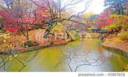 Fall of the rain Fall of the rain 45907658