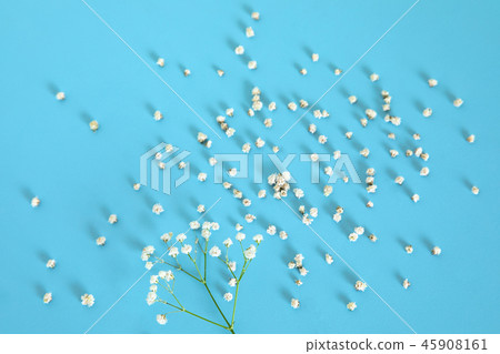 White little flowers on blue background. 45908161