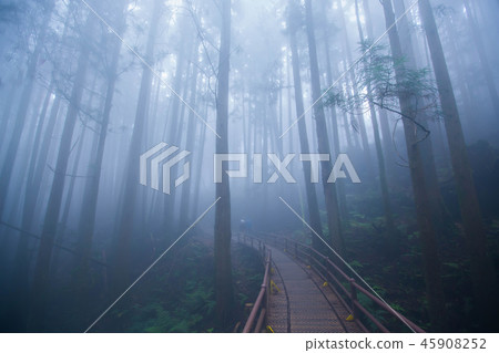 迷霧中的特富野古道 45908252