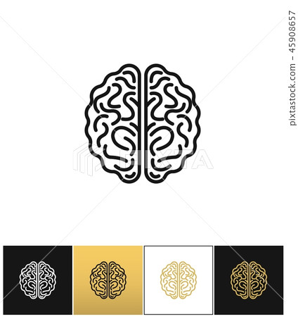 Brain vector icon Brain vector icon 45908657