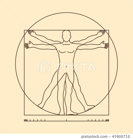 Leonardo da vinci vitruvian man form similar vector illustration 45908718