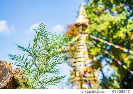 Unrequited temple temple. Unrequited temple temple. 45908847