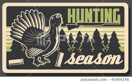 Wood grouse or capercaillie bird, hunting sport 45909148