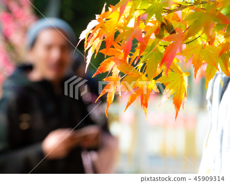 Autumn Fushou Mountain Autumn Fushou Mountain 45909314