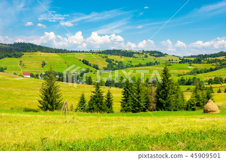 grassy rural hills in mountains 45909501