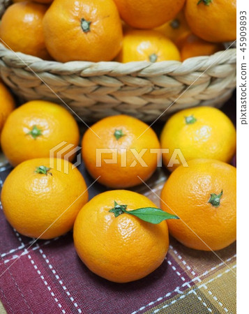 Jeju tangerines and drop tomatoes, apples Jeju tangerines and drop tomatoes, apples 45909893