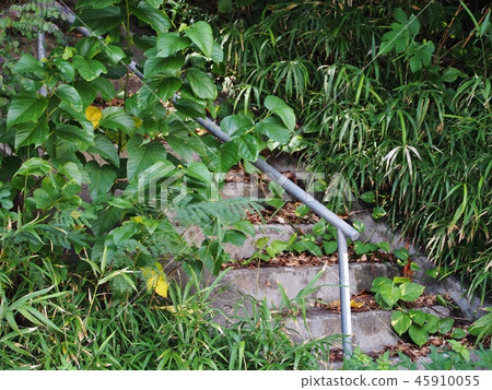 Stone steps of Mother Island Stone steps of Mother Island 45910055