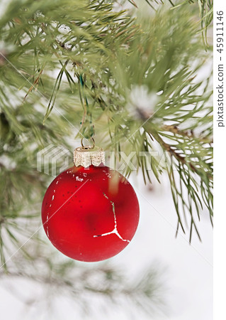 red toy ball hangs on a snowy branch 45911146