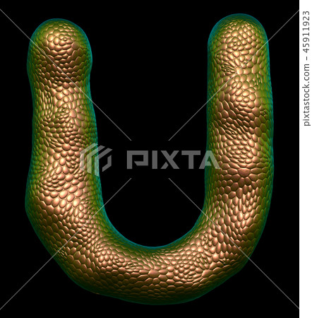 Letter U made of natural gold snake skin texture isolated on black. Letter U made of natural gold snake skin texture isolated on black. 45911923