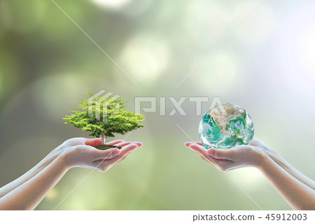 World environment day go green concept 45912003