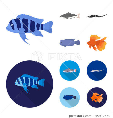 Frontosa, cichlid, phractocephalus hemioliopterus.Fish set collection icons in cartoon,flat style 45912560