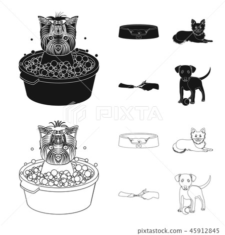 Lounger for a pet, clipping of claws in a vet clinic, lying dog, puppy with a ball. Vet clinic and 45912845