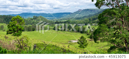 Landscape in Australian hinterland in the summer. 45913075