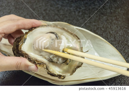 生牡蠣菜 生牡蠣菜 45913616
