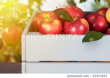 Red apples in wooden box on table Red apples in wooden box on table 45913641