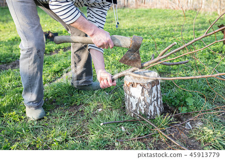 male hands chopping firewood male hands chopping firewood 45913779