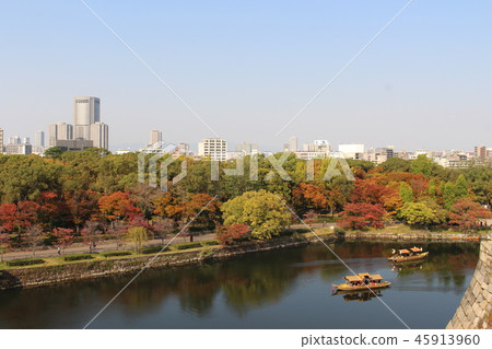 Osaka Castle Autumn leaves Osaka Castle Autumn leaves 45913960