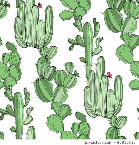 Vector Cactus. Green engraved ink art.Seamless background pattern. Fabric wallpaper print texture. Vector Cactus. Green engraved ink art.Seamless background pattern. Fabric wallpaper print texture. 45916515