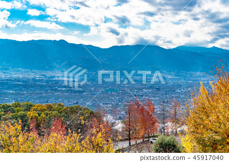 甲府盆地天梯之梯[山梨縣] 45917040